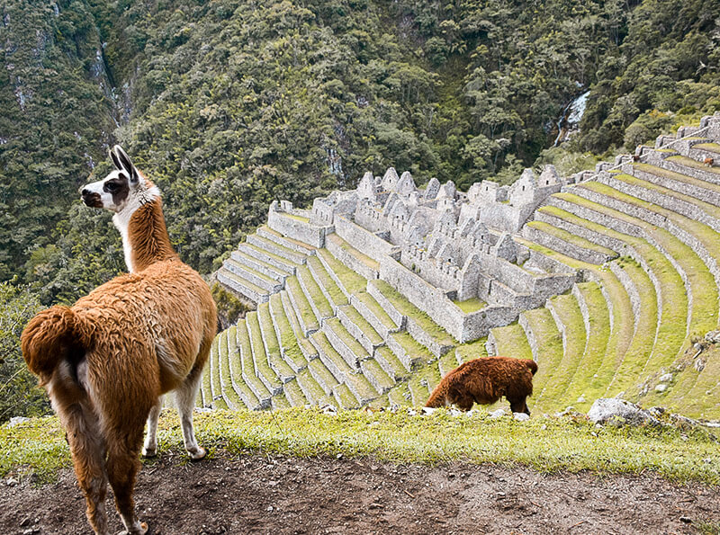 Camino Inca Corto de 2 Días a Machu Picchu
